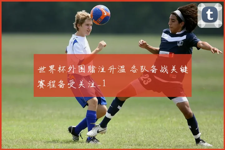 世界杯外围赌注升温 各队备战关键赛程备受关注_1